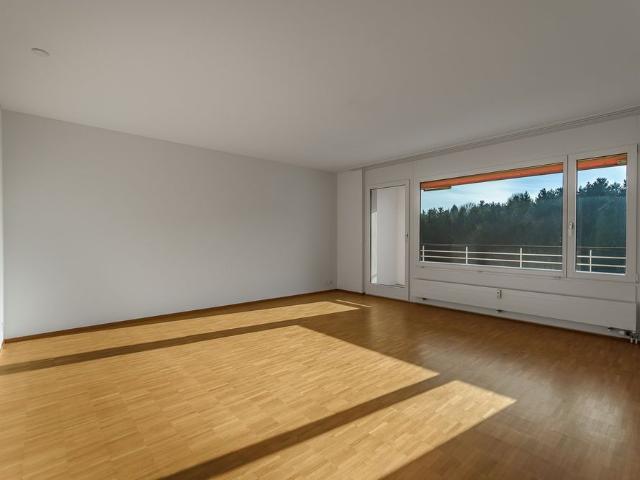 Apartment mieten in Kapf, Emmen