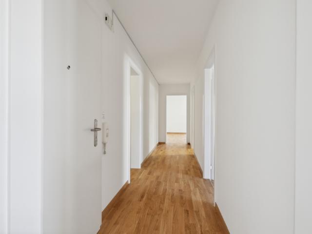 Apartment mieten in Münchenstein