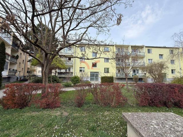 Apartment kaufen in Wiener Neudorf, Niederösterreich