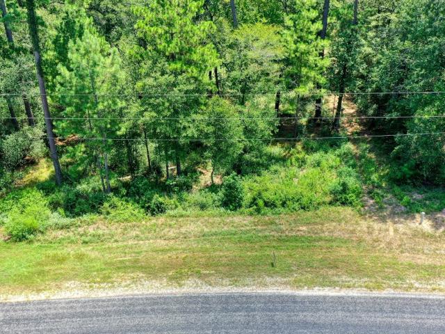 Land for sale in Texas Grand Ranch, Huntsville