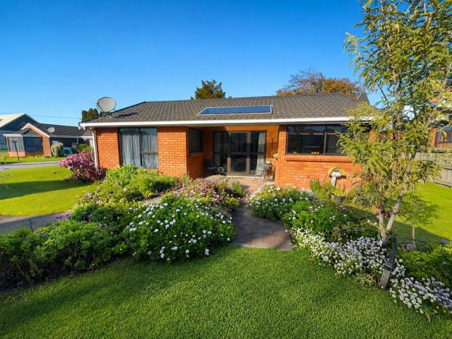 House for rent in Blenheim Central, Marlborough