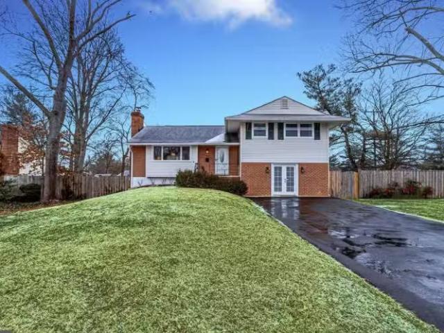 House for rent in Alexandria House for rent in Alexandria