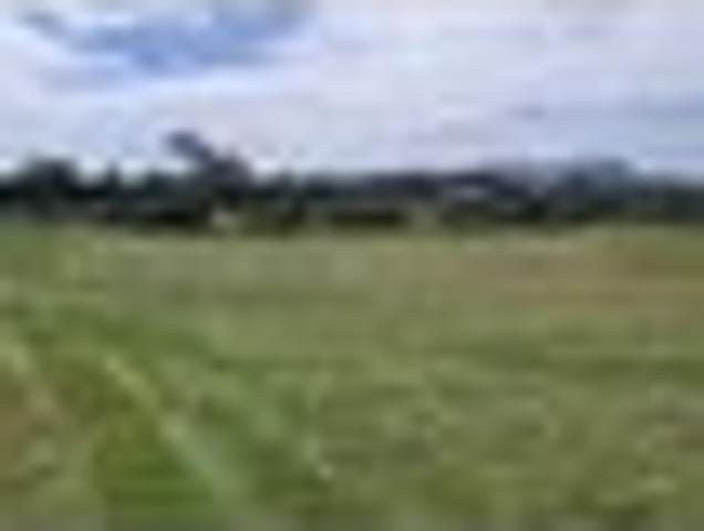 Land for sale in Northland