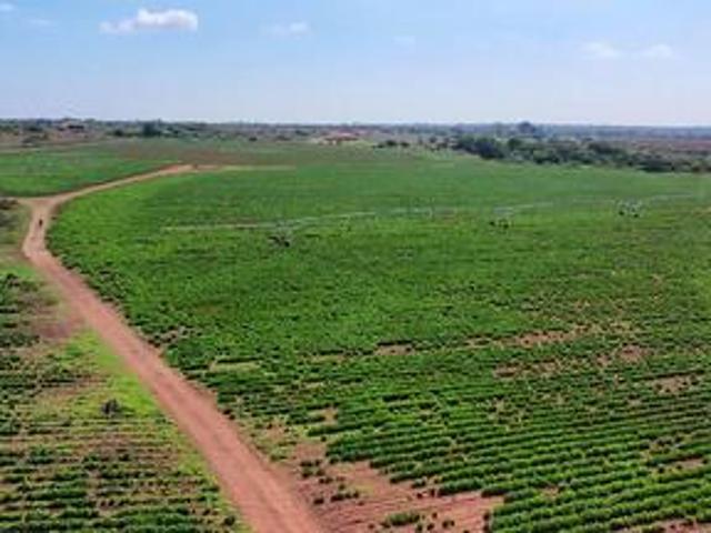 Farm for sale in Gauteng