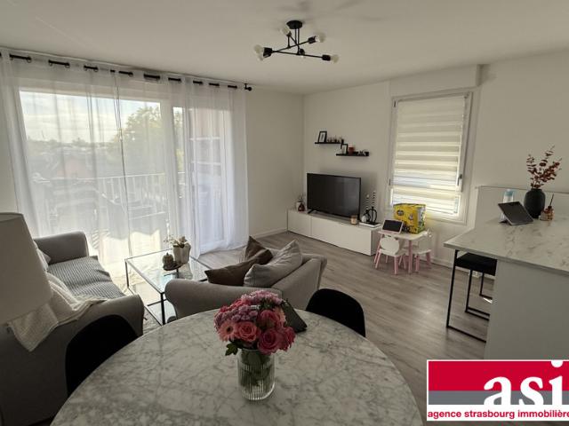 Appartement vente à Strasbourg, Hoenheim