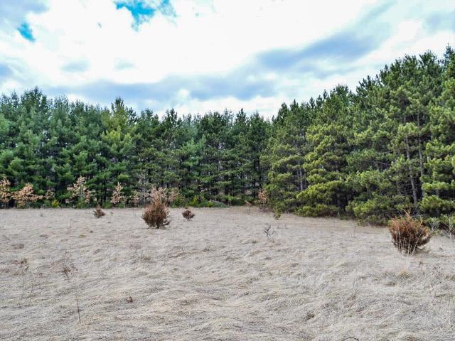 Land for sale in Coloma, Wisconsin