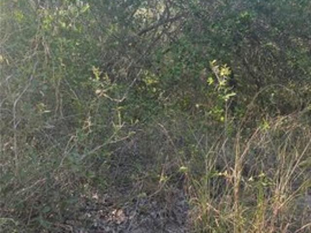 Land for sale in Ingleside, San Patricio County