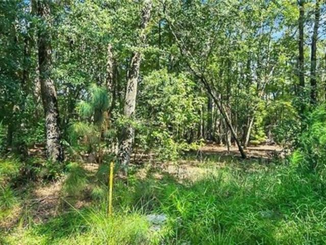 Farm for sale in Guyton, Georgia