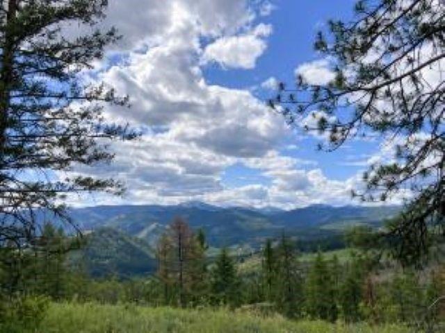 Land for sale in Kettle Falls, Washington