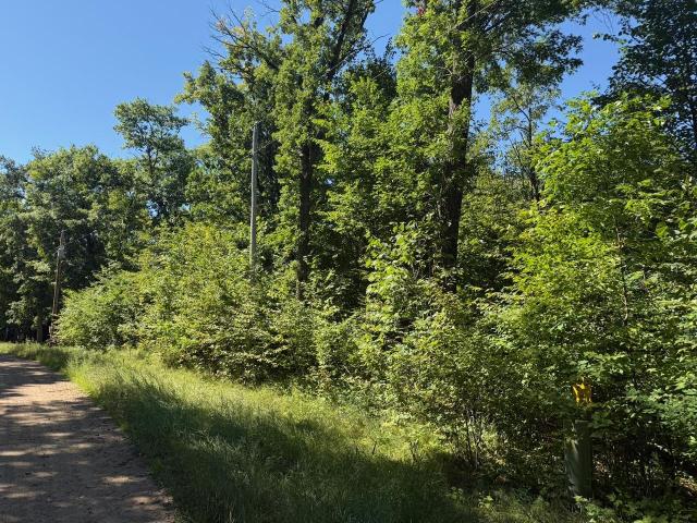 Land for sale in Browerville, Todd County