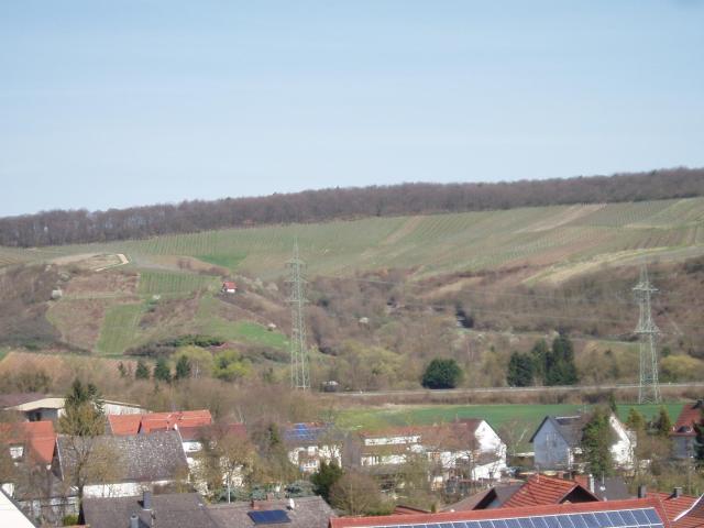Wohnung mieten in Windesheim, Rheinland-Pfalz
