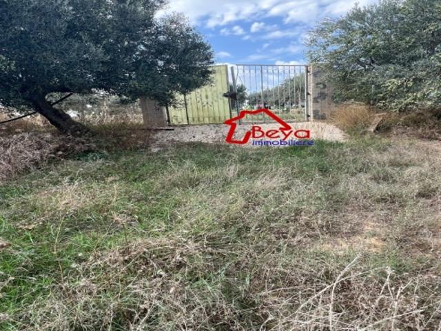 Propriété vente à Nabeul