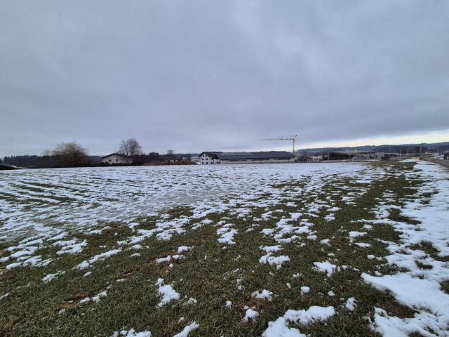 Grundstück kaufen in Mundenham, Palting