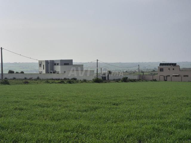 Propriété vente à El Ma, Gharb-Chrarda-Beni Hssen