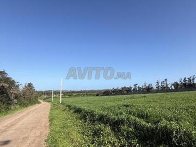 Propriété vente à El Ma, Gharb-Chrarda-Beni Hssen
