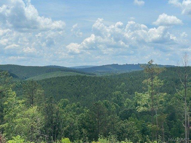 Land for sale in Ashland, Alabama