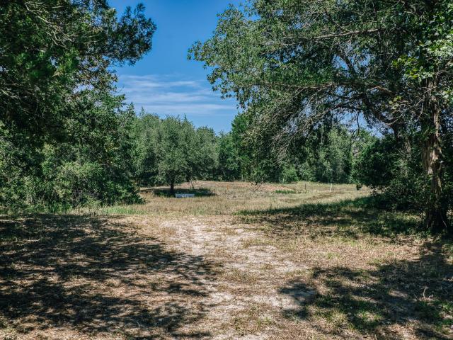 Land for sale in Burton, Texas