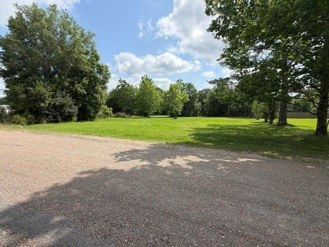 Land for sale in Loranger, Tangipahoa Parish