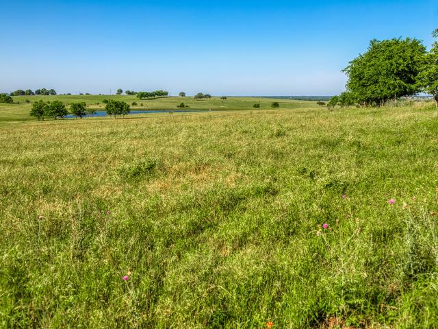 Land for sale in Burton, Texas