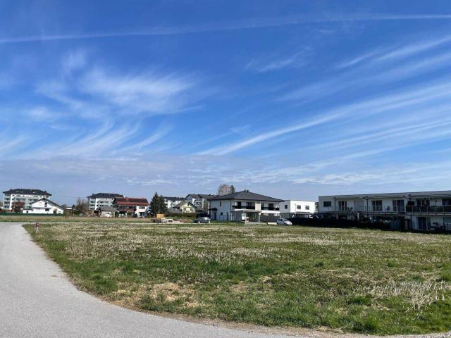 Immobilie kaufen in Mattighofen, Oberösterreich