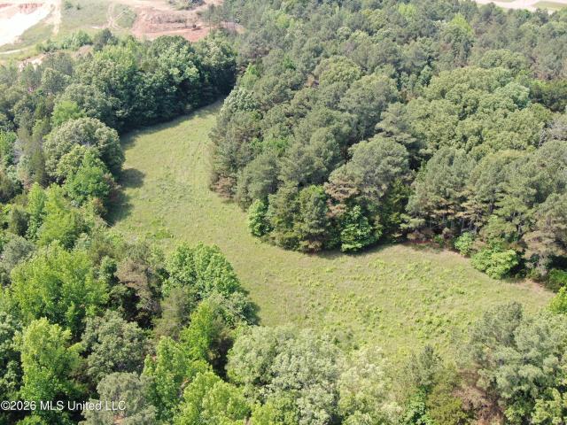 Land for sale in Holly Springs, Mississippi