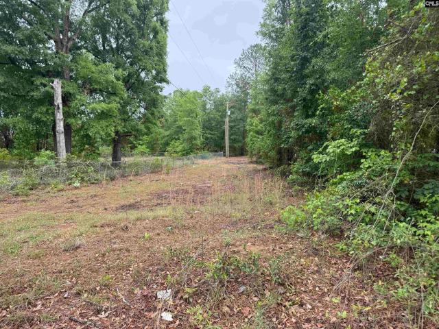 Land for sale in Elgin, South Carolina