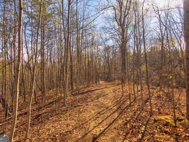 Land for sale in Dahlonega