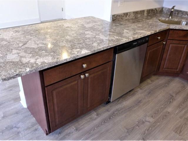 Apartment for rent in Oak Park, Illinois