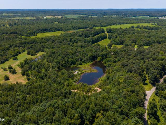 Land for sale in Dawson Springs, Kentucky