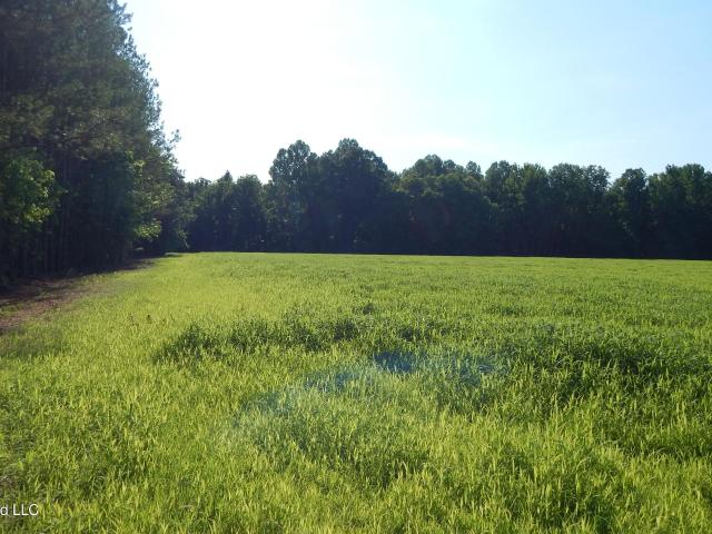 Land for sale in Bruce, Mississippi