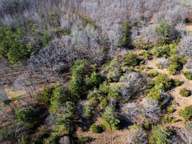 Land for sale in Tennessee