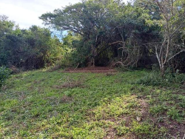 Land for sale in Bushmans River Mouth, Eastern Cape