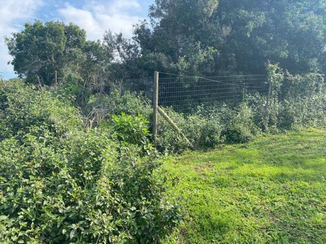 Land for sale in Bushmans River Mouth, Eastern Cape