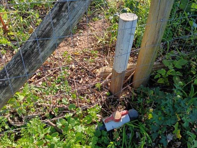 Land for sale in Bushmans River Mouth, Eastern Cape