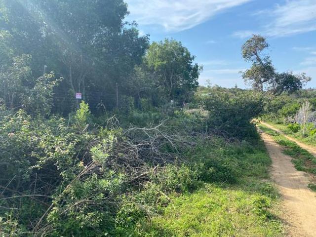 Land for sale in Bushmans River Mouth, Eastern Cape