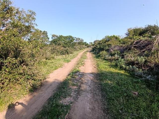 Land for sale in Bushmans River Mouth, Eastern Cape