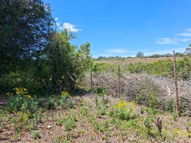 Land for sale in Bushmans River Mouth, Eastern Cape