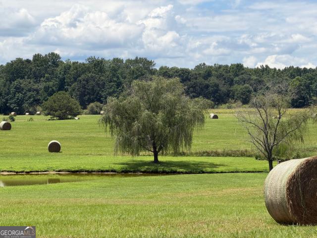 Land for sale in Mansfield, Georgia