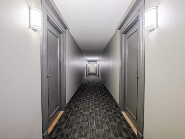 Apartment for rent in Arva, Ontario