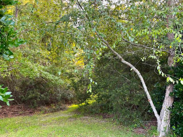 Land for sale in Little River, South Carolina