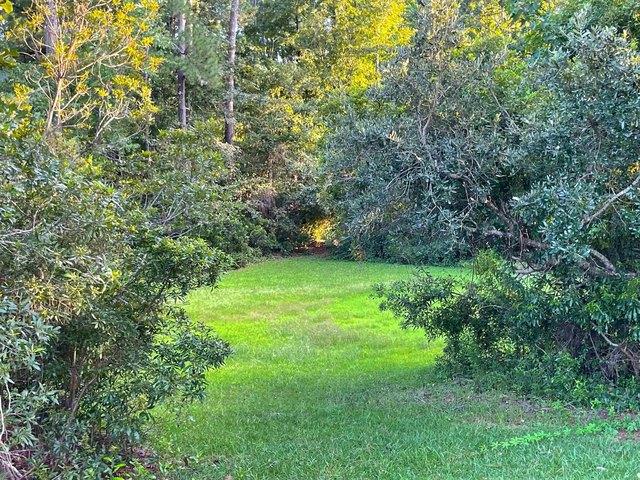 Land for sale in Little River, Horry County