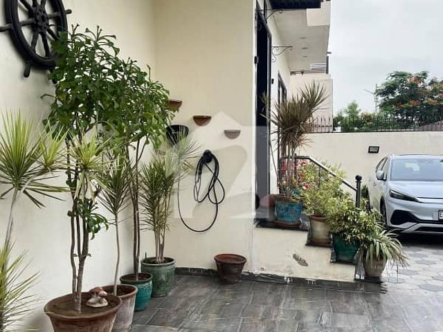 Property for rent in North Waziristan, Federally Administered Tribal Areas fata