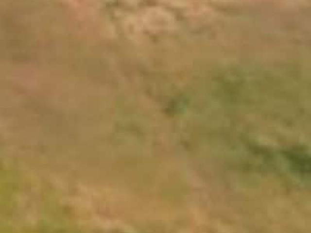 Land for sale in Ludhiana, Punjab