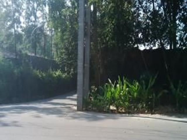 Land for sale in Gurugram, Hariana