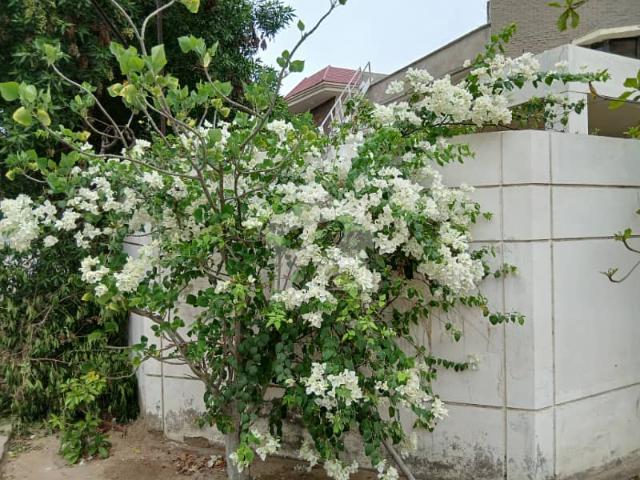 Property for sale in کراچی ڈویژن, North Waziristan