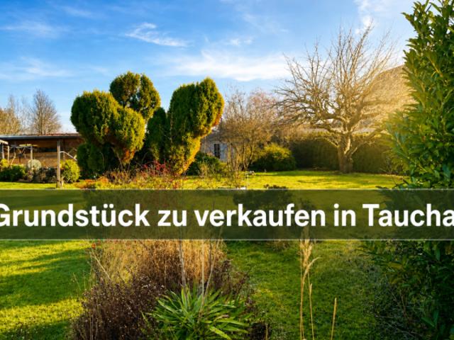 Erdgeschosswohnung kaufen in Dewitz, Taucha