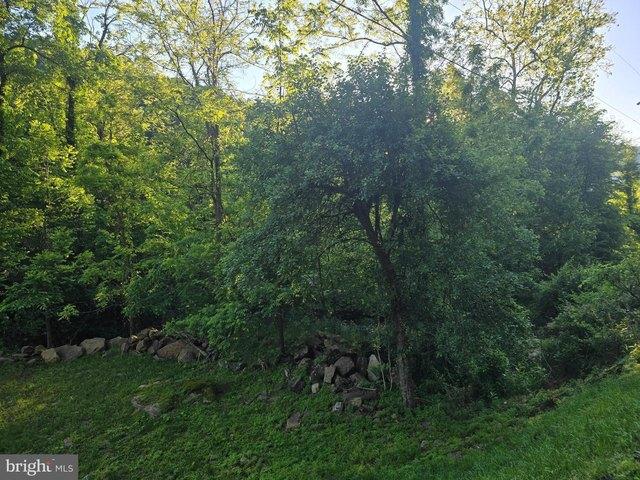 Land for sale in West Virginia