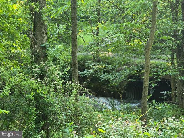 Land for sale in West Virginia