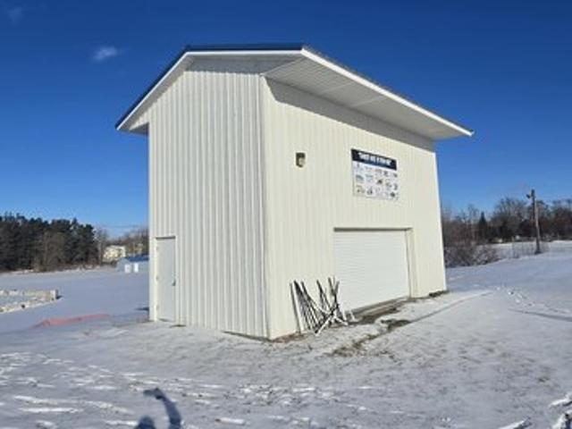Land for sale in Edmore, Michigan