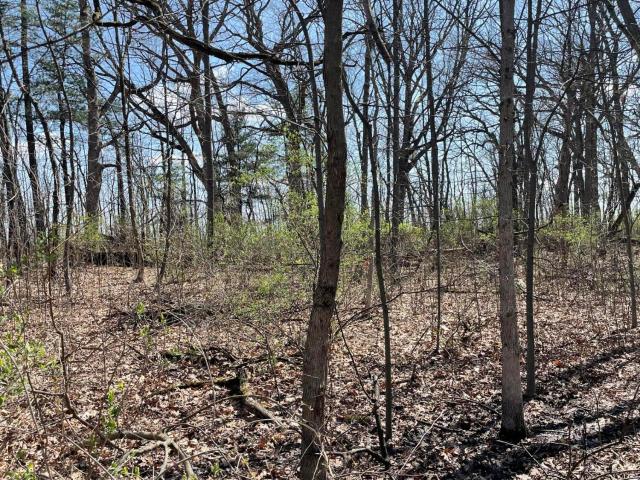 Land for sale in Cedar Lake, Indiana